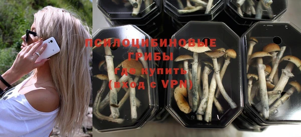 прущая мука Осинники