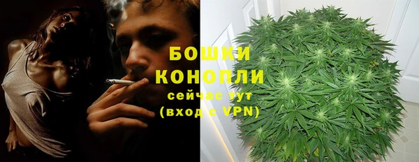 прущая мука Осинники