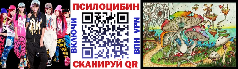 Купить где  Тулун  Псилоцибиновые грибы мухоморы 